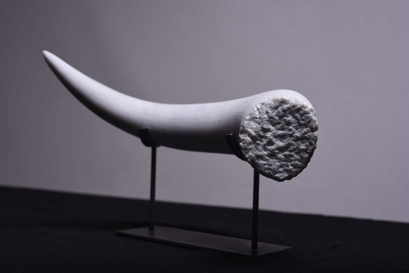 Miura - GRACIA ARRUIZ - Image 7