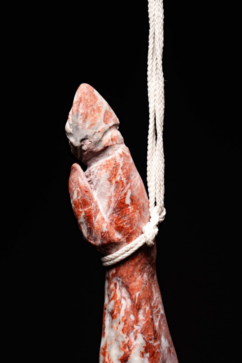 Joselito - GRACIA ARRUIZ - Image 7