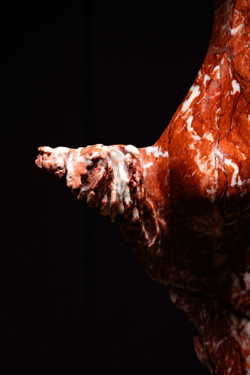Joselito - GRACIA ARRUIZ - Image 5