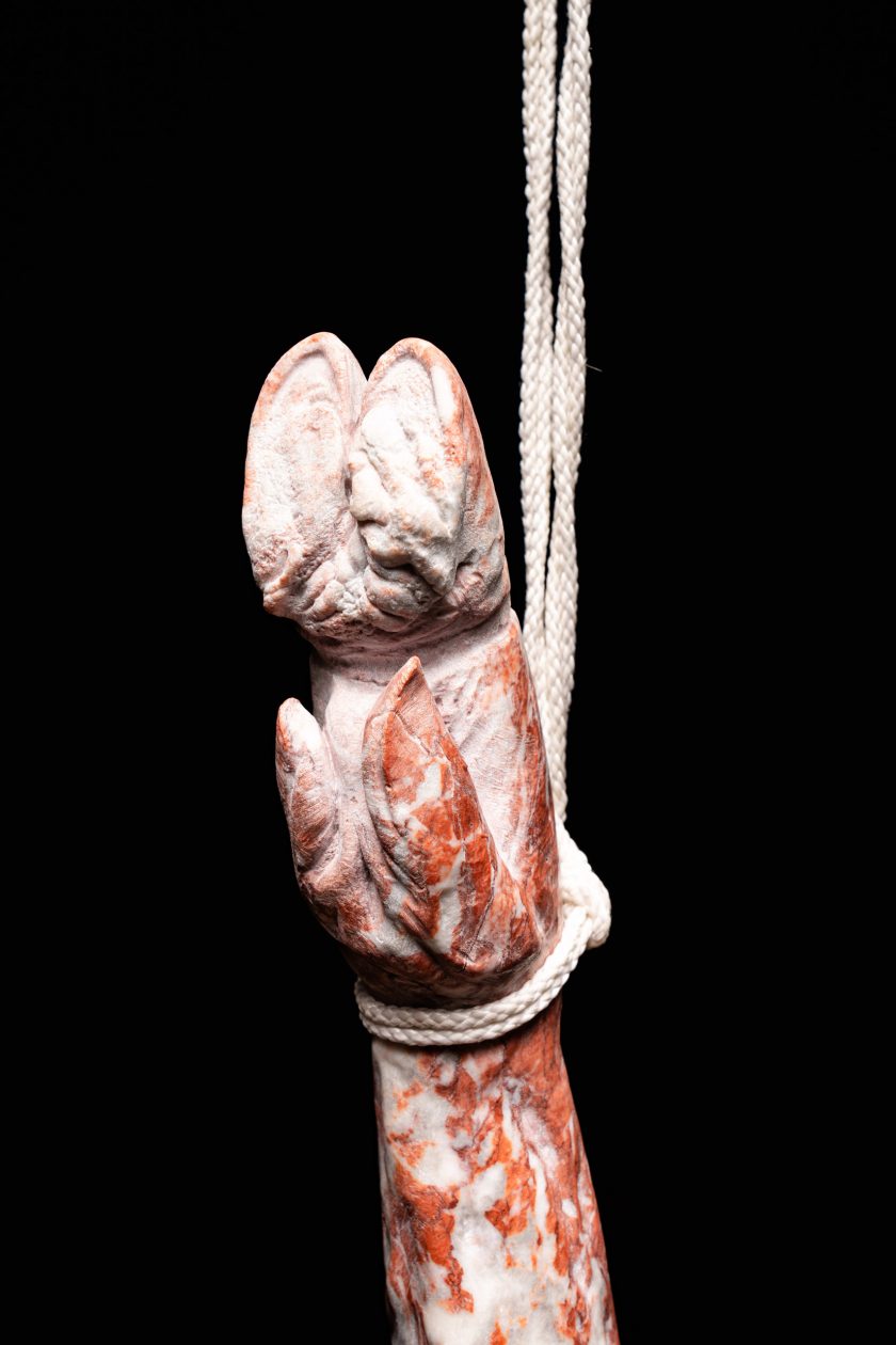 Joselito - GRACIA ARRUIZ - Image 3