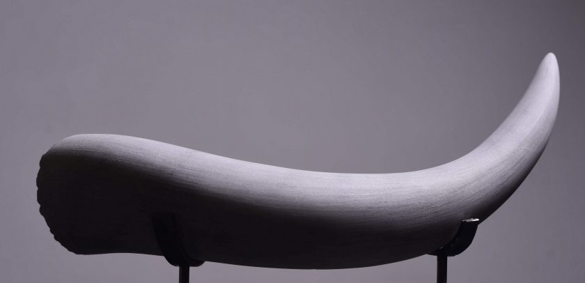 Miura - GRACIA ARRUIZ - Image 4